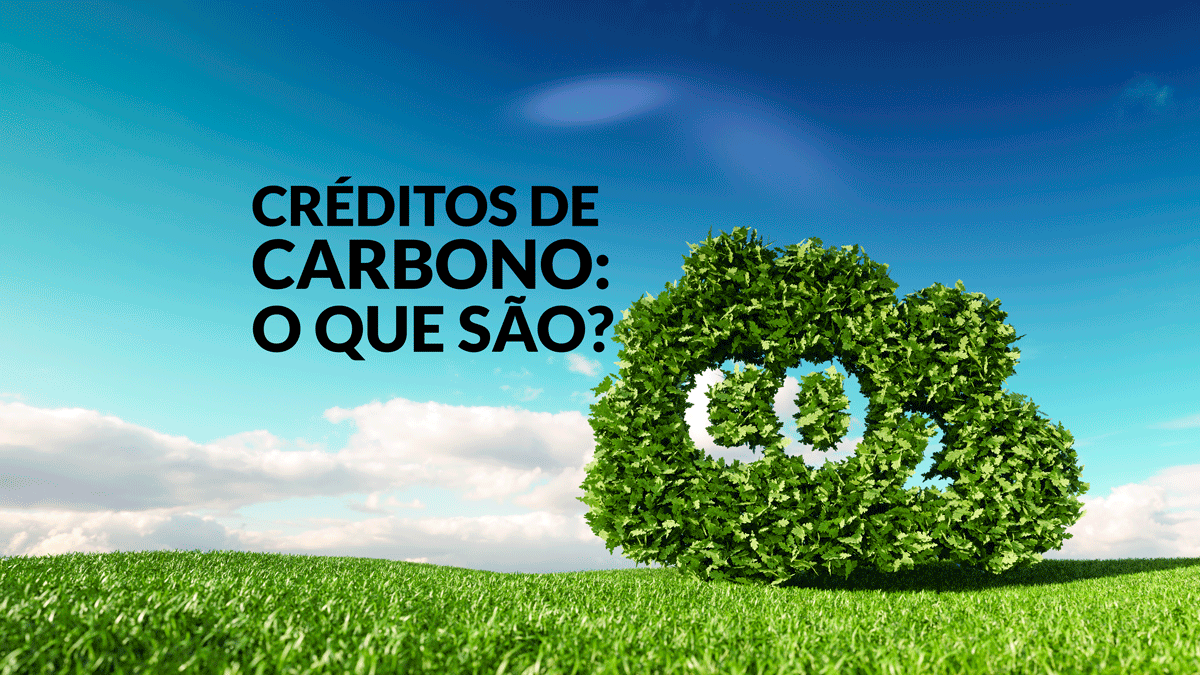 Créditos de Carbono O que são EMC Tecnologia Ltda